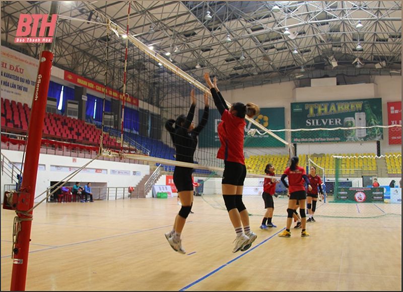 Đội bóng chuyền nữ Xi măng Long Sơn Thanh Hóa chuẩn bị cho mùa giải 2024 - -1076841983